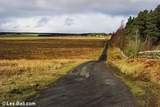 View along the road to Rothley West Shield Northumberland.