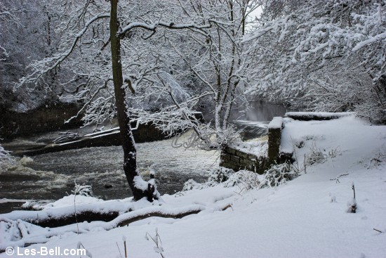 Bothal, Northumberland.