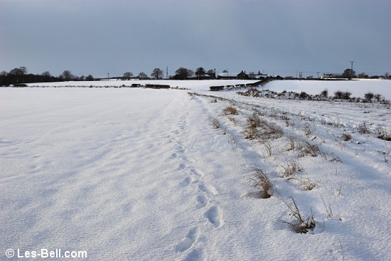 Footpath from Pegswood to Bothal.