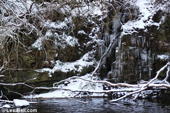 Huge icicles beside the River Wansbeck between Bothal and Morpeth.