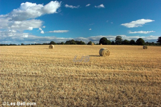 Harvested fields at Bothal.