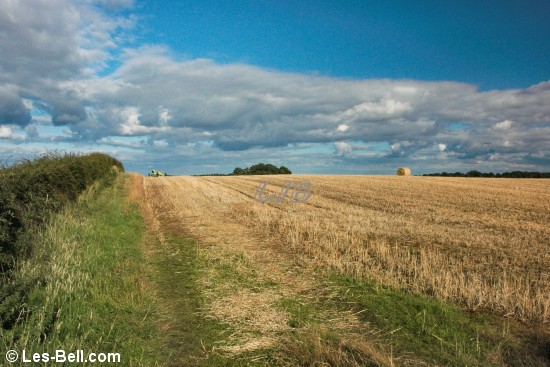 Harvested fields at Bothal.