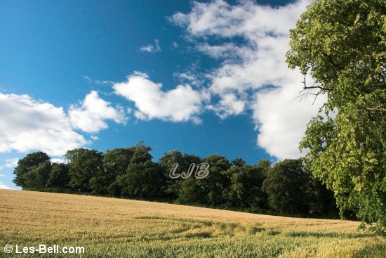 Fields at Bothal.