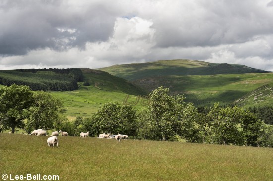 View towards Dunmoor Hill.