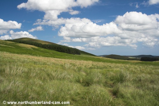 Walking at Old Fawdon Hill, Cheviot Hills.