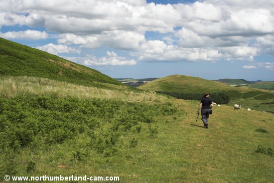 Walking at Old Fawdon Hill, Cheviot Hills.