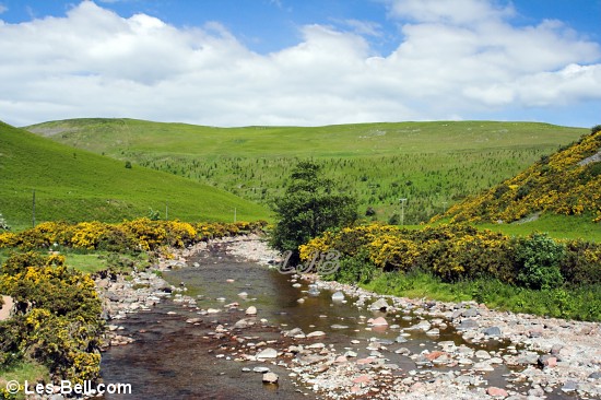 River Breamish beside Ewe Hill.
