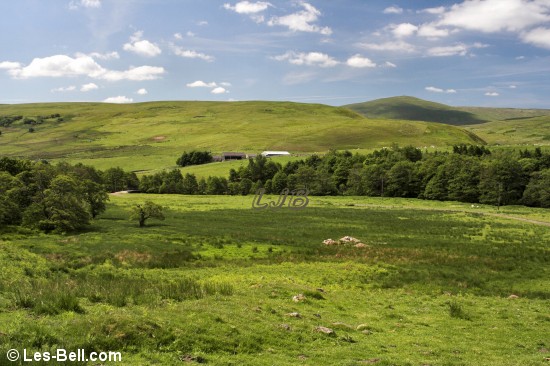Shill Moor seen from near Hartside.