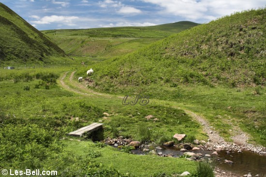 Bridge and ford across the Rowhope Burn.