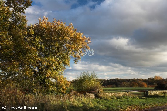 Bothal, Northumberland.