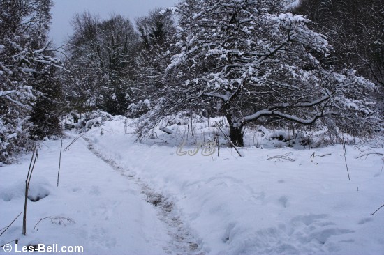 Path through the deep snow betwen the sawmill and weir at Bothal.