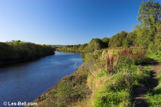 River Tyne Between Newburn and Wylam.