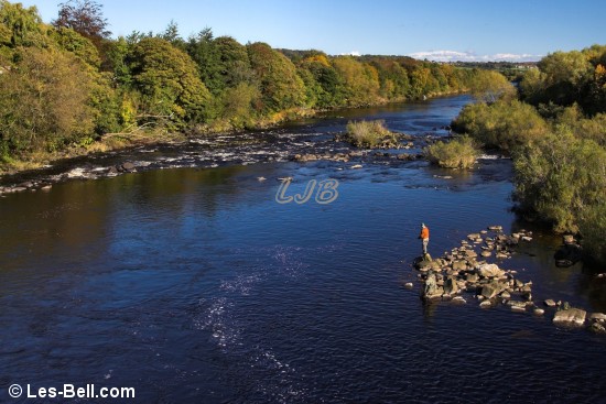 River Tyne at Wylam.