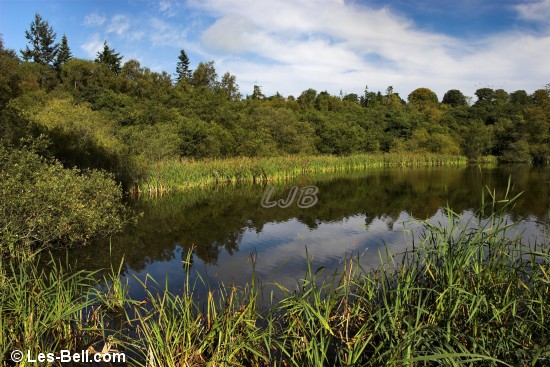Bolam Lake
