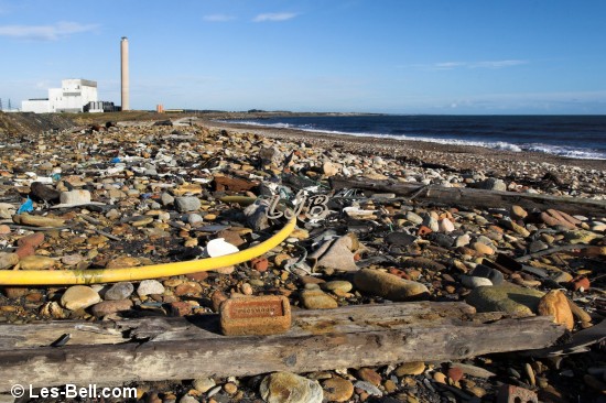 Lyne Sands.