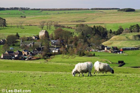 View to Elsdon.