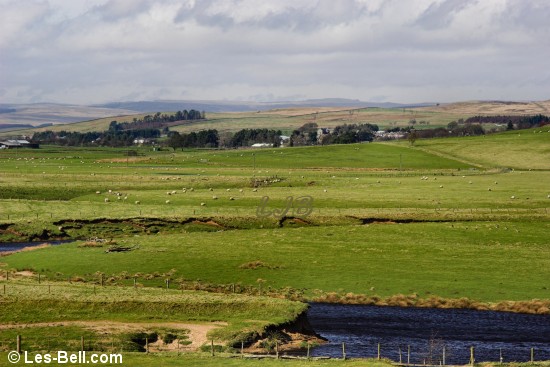 River Rede looking towards Otterburn.