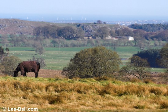 View from Winters Gibbet to the coast - in the far distance is Blyth.
