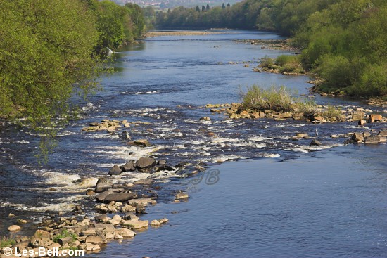 River Tyne at Wylam.