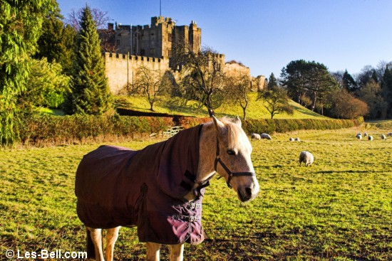 Bothal Castle.