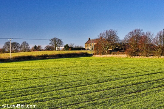 Fields near Bothal.