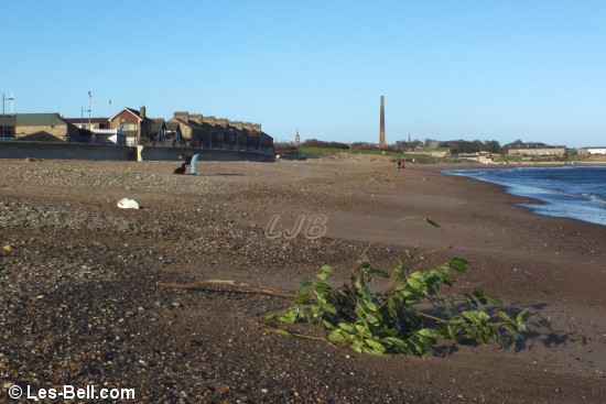 Spittal Beach.