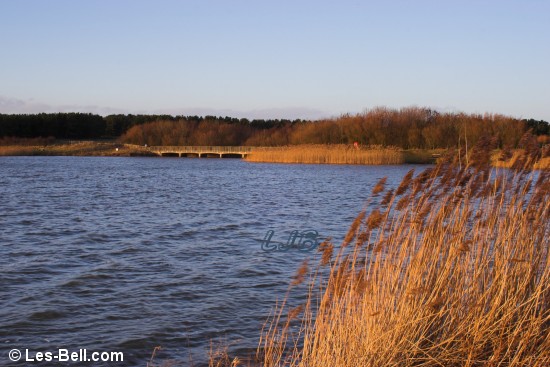 Ladyburn Lake, Northumberland.