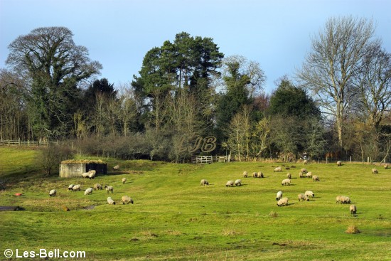 WW2 pillbox at Mitford.