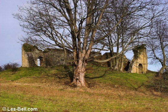 Mitford Castle ruins.