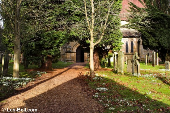 Snowdrops lining the entrance path to St. Mary Magdalene Church, Mitford.