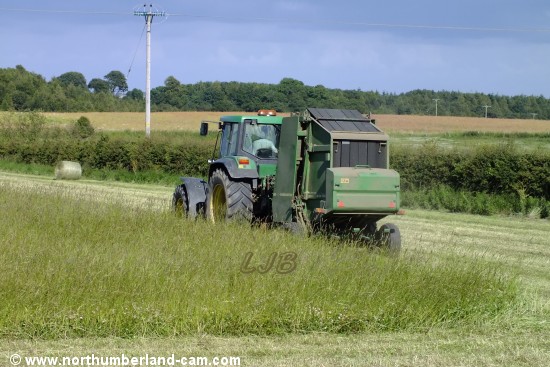 Grass cutting near Bothal.