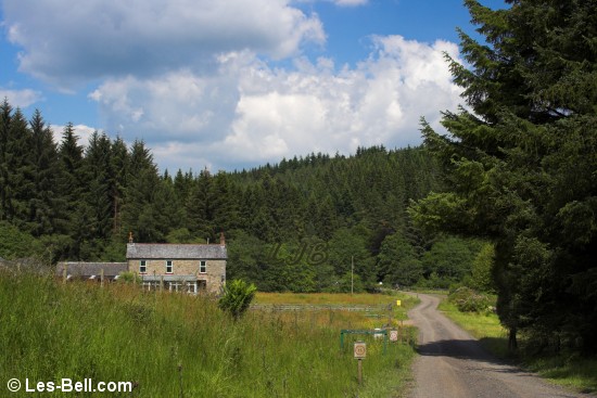 Pennine Way, Redesdale Forest, Northumberland.