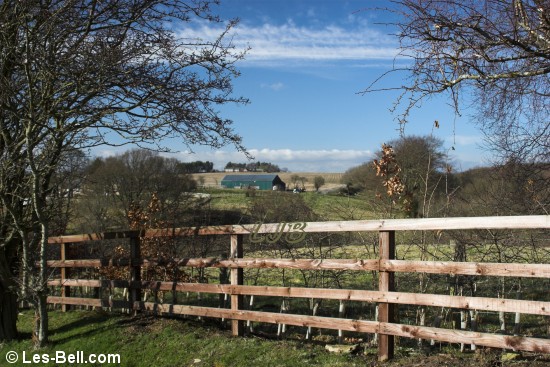 View to Nunriding Moor, Northumberland.
