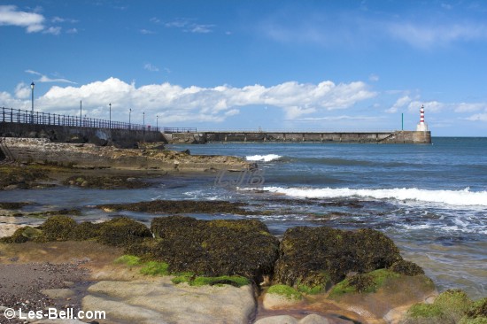 Amble, Northumberland.