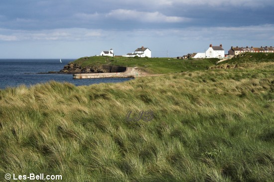 Seaton Sluice Dunes.
