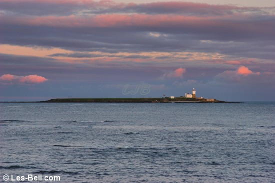 Coquet Island.