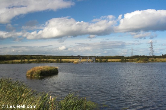 Linton Lane Nature Reserve, Northumberland.