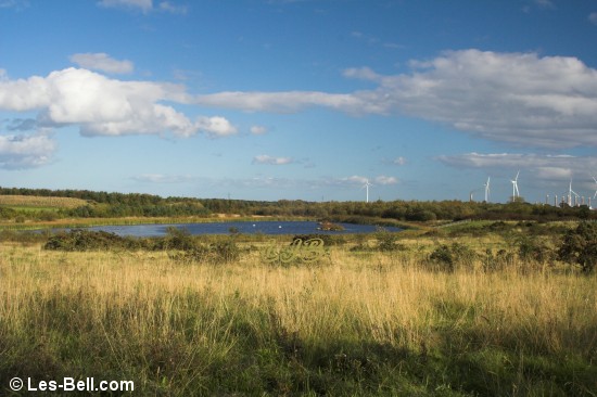 Linton Lane Nature Reserve, Northumberland.
