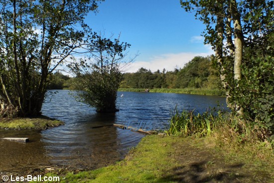 Bolam Lake Country Park, Northumberland.