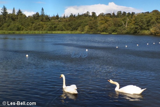 Bolam Lake Country Park, Northumberland.