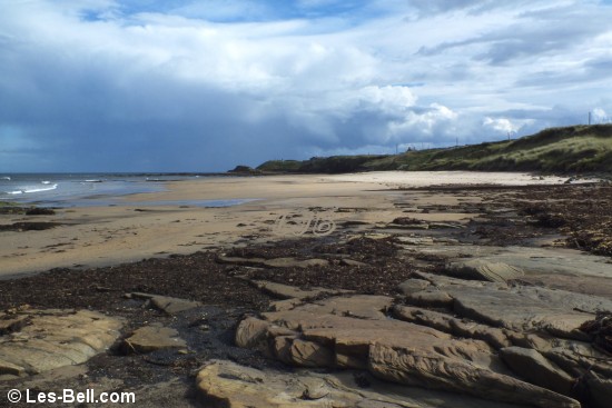 Cresswell, Northumberland.