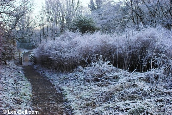 Bothal, Northumberland.