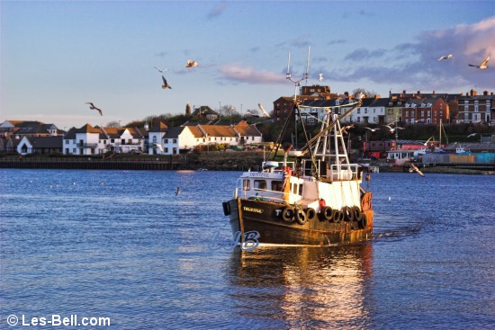 Fishing boat approaching North Shields Fish Quay.