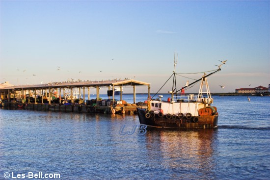 Fishing boat approaching North Shields Fish Quay.