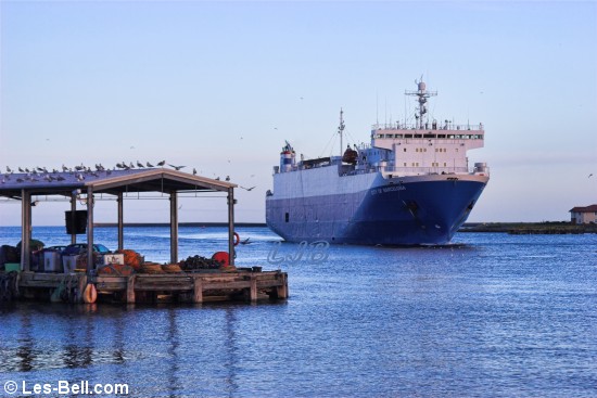 Car carrier ship City of Barcelona passing North Shields Fish Quay.