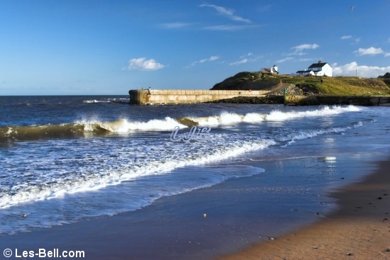 Seaton Sluice Beach.