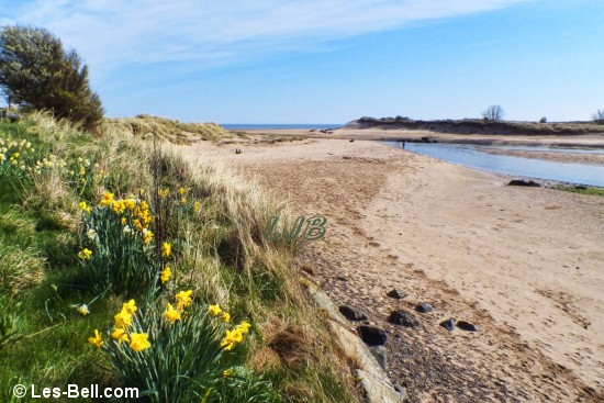 Alnmouth, Northumberland.