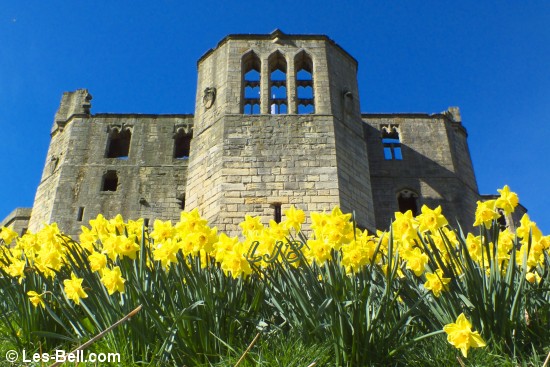 Warkworth Castle, Northumberland.  