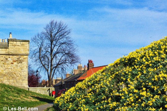 Warkworth Castle, Northumberland.  