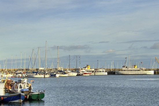 View across the harbour.